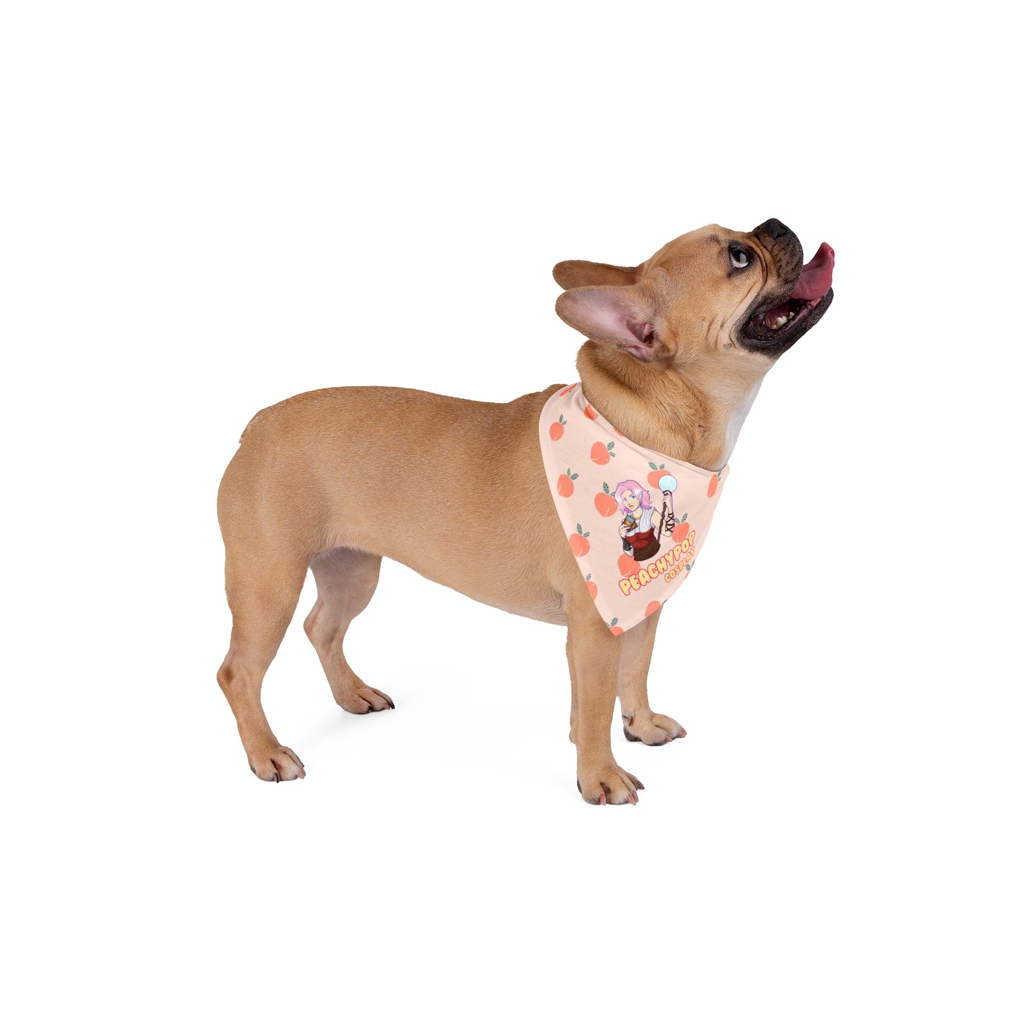 Peachy Pop Pet Bandana